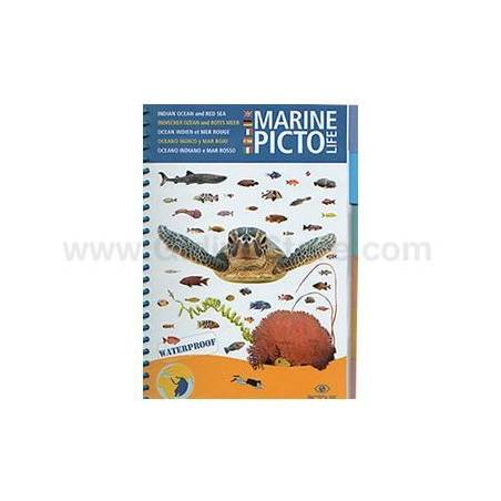 Pictolife Red Sea & Indian Ocean Sea-life Guide