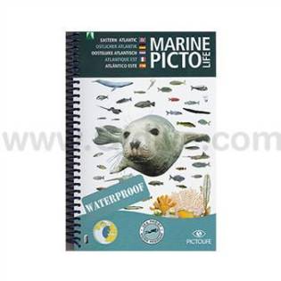 Pictolife Eastern Atlantic Sea-life Guide