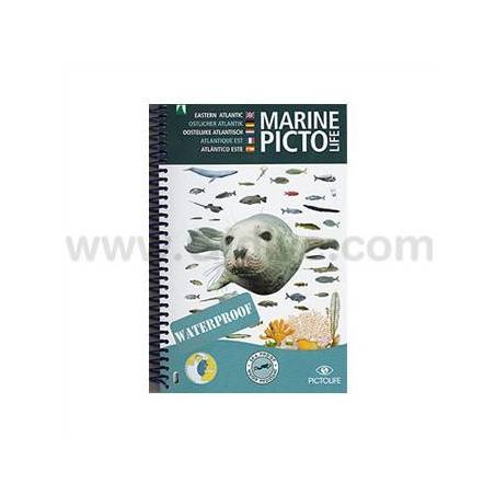 Pictolife Guía Especies del Atlántico Este