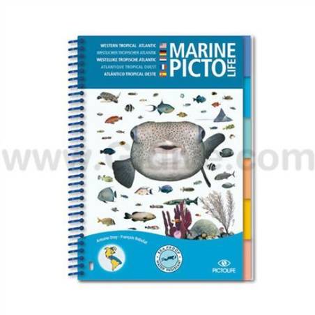 Pictolife Tropical Atlantic / Caribbean Sea-life Guide