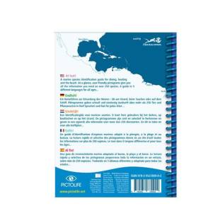 Pictolife Guía Especies del Caribe