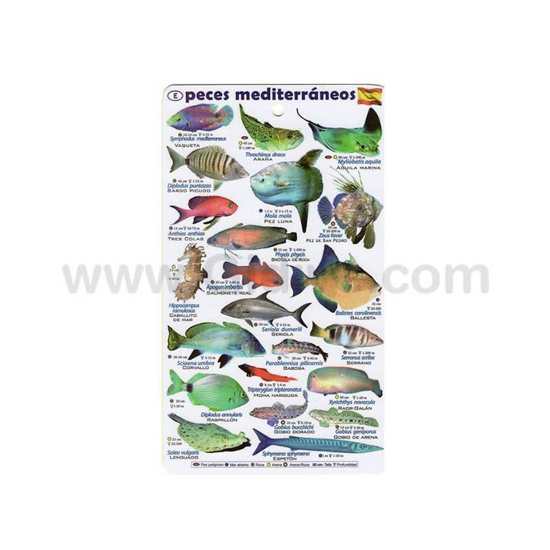 Tablilla de Peces Mar Mediterráneo