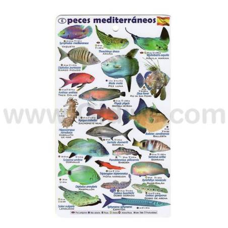 Tablilla de Peces Mar Mediterráneo