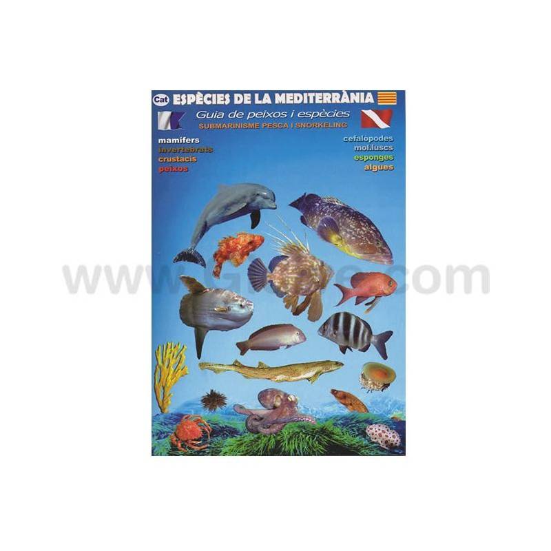 Guía Especies Mediterráneas