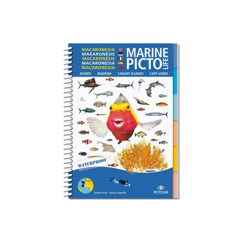 Pictolife Guía Especies de Canarias, Azores, Madeira, Cabo Verde