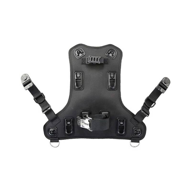 Aqualung Rogue Back Assembly