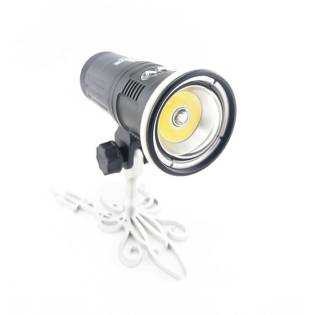 Kraken Foco Dual LTD 7.000
