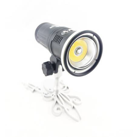Kraken Foco Dual LTD 7.000
