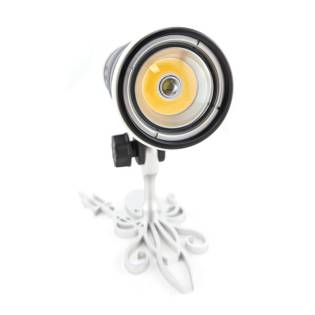 Kraken Foco Dual LTD 10.000