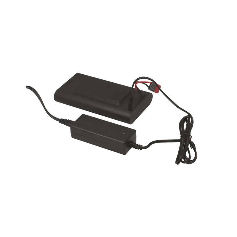 Bigblue Charger for VL650000P / CB60000P / VL60000P