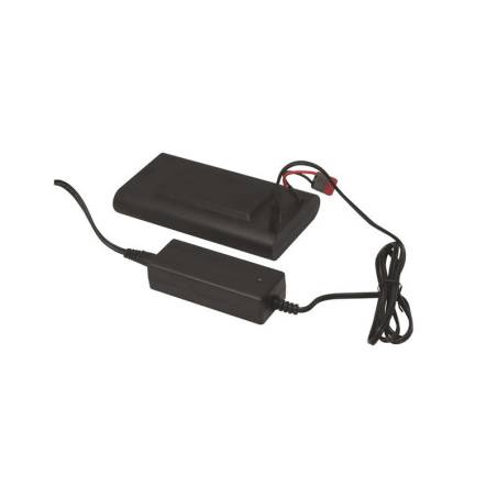 Bigblue Charger for VL650000P / CB60000P / VL60000P