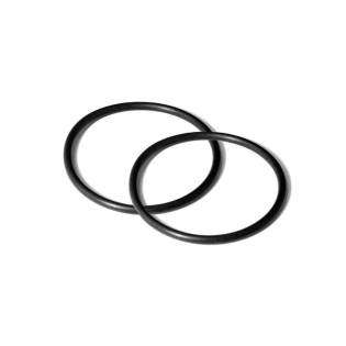 BigBlue O-Ring for 10000 Series (2un.)