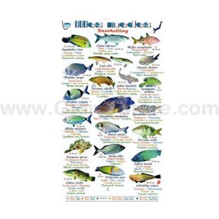 Slate for Snorkeling in Medes Islands