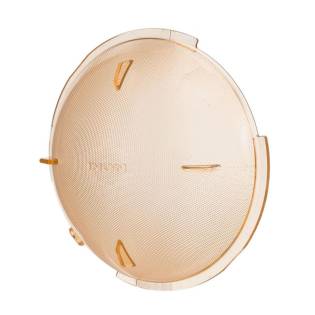 Inon Strobe Z-330/ D-200 Dome Filter 4600K