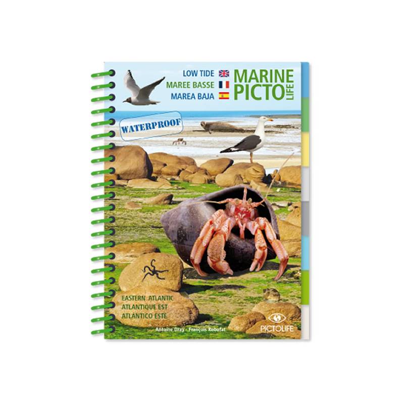 Pictolife Guía Marea Baja Atlántico Este