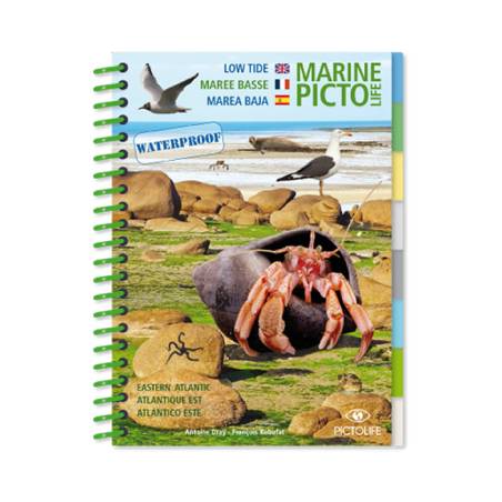 Pictolife Low-Tide Eastern Atlantic Guide