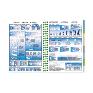 Pictolife Low-Tide Eastern Atlantic Guide