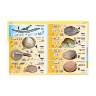 Pictolife Low-Tide Eastern Atlantic Guide