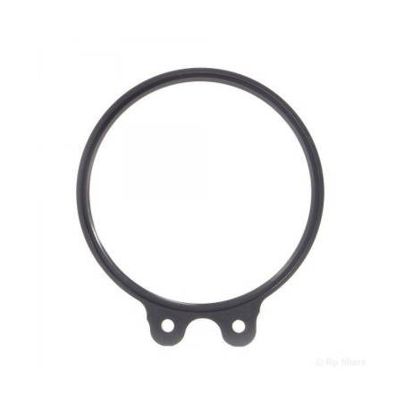 Backscatter Adaptador Flip para Filtro 55mm