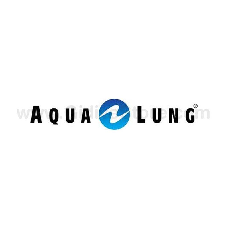 Aqualung Kit Mantenimiento Hinchador Air Source