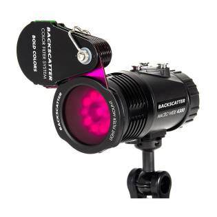 Backscatter Set Filtros Bold y Pastel con Adaptadores