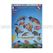 Diving and Fish Guides